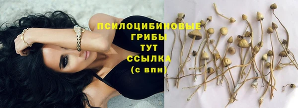 прущие грибы Алексин