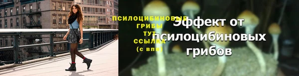 прущие грибы Алексин
