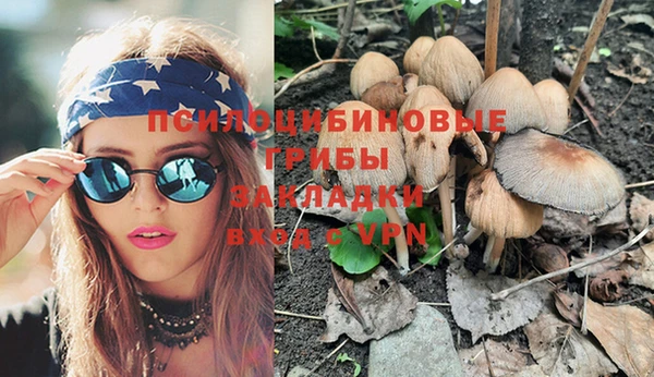 крисы Наволоки